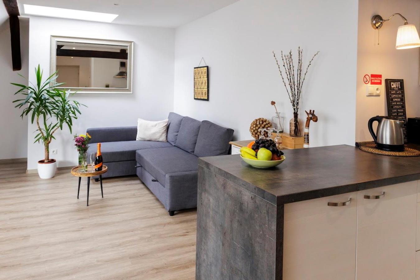 Vip Apartment In Old Town With Free Parking Братислава Экстерьер фото